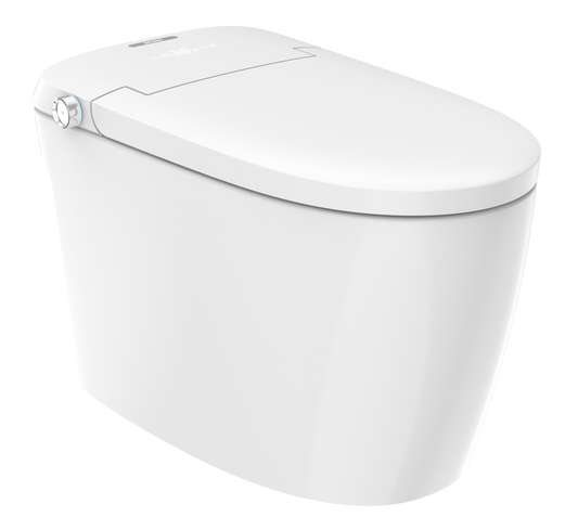 SANIKB Japanese High-Tech Bidet Smart Toilet with Auto Bidet System | Model ZY07