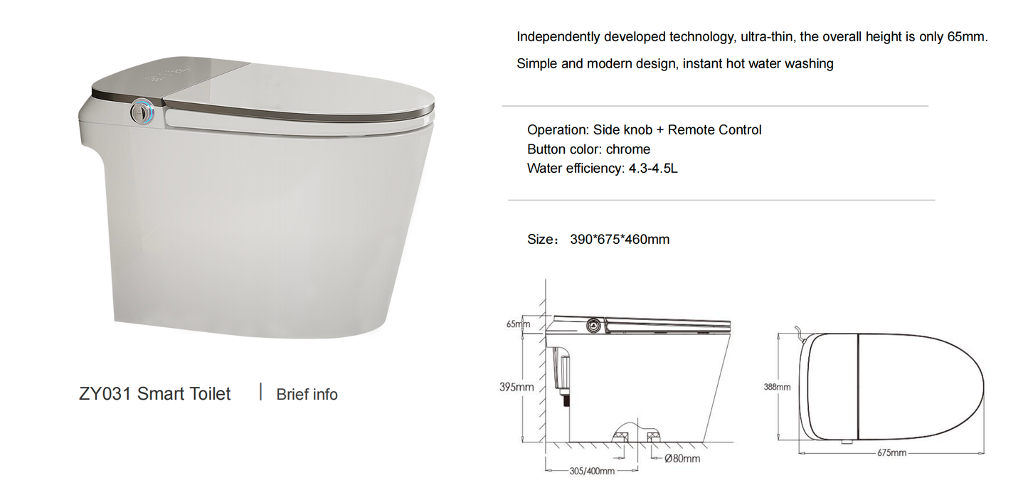 SANIKB Remote Control Smart Toilet with Automatic Flush | Model ZY03