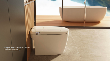 SANIKB Japanese High-Tech Bidet Smart Toilet with Auto Bidet System | Model ZY07